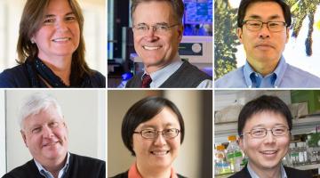 Clockwise from upper left: Angela Belcher, Bruce Walker, Jianzhu Chen, Feng Zhang, Siqi Zheng, and Lee Gehrke