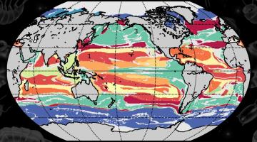 A machine-learning technique developed at MIT combs through global ocean data to find commonalities between marine locations, based on interactions between phytoplankton species. Using this approach, researchers have determined that the ocean can b...