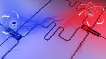 Two superconducting qubits acting as giant artificial atoms. These “atoms” are protected from decoherence yet still interact with each other through the waveguide. Courtesy of the researchers